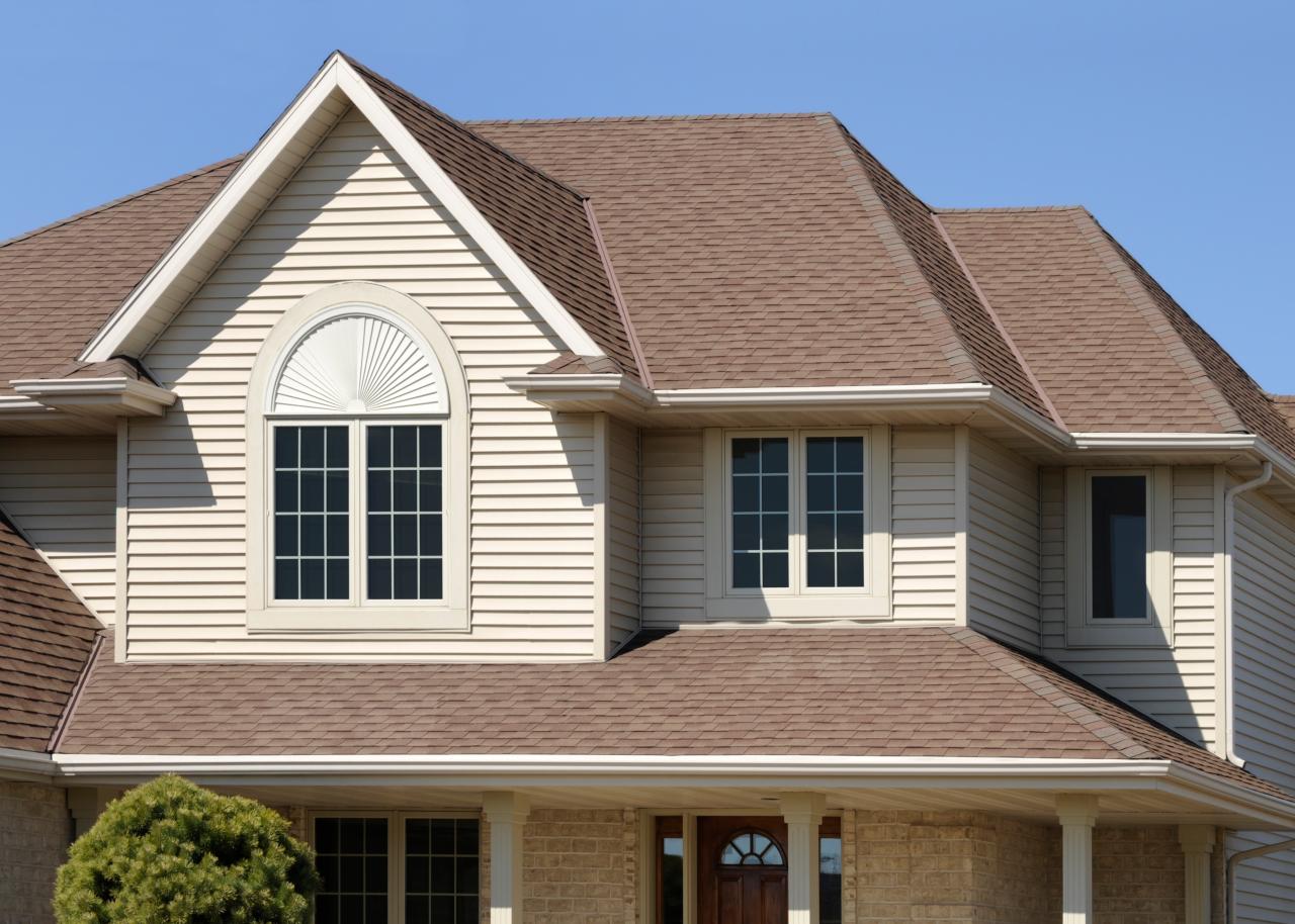 Professional Roofing 
